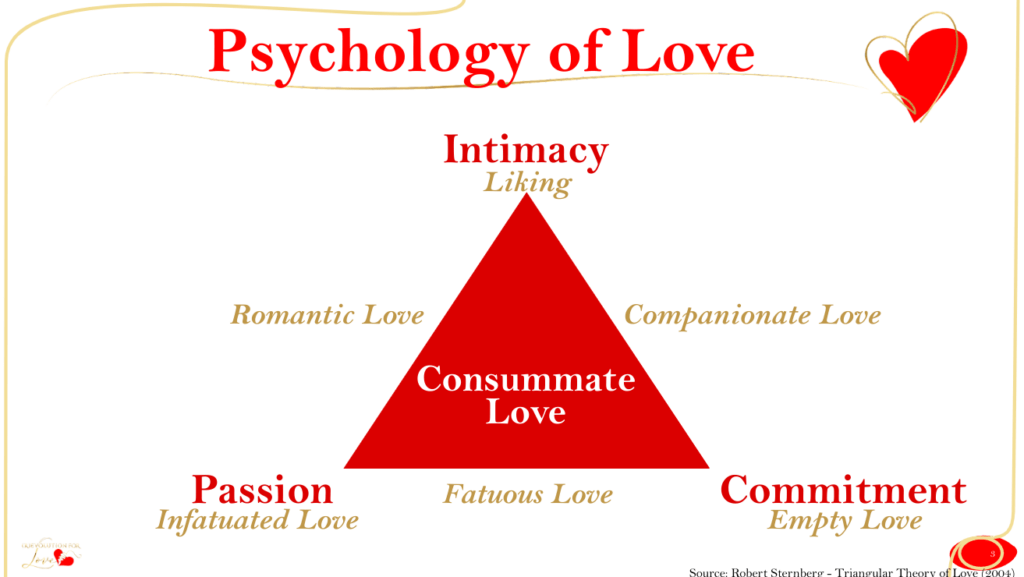 Triangular Theory of Love - Robert Sternberg - Psychology Love Theories